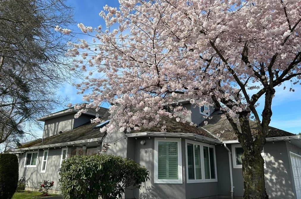 30 9731 CAPELLA DRIVE, Richmond, BC — Residential for Sale - Photo 2