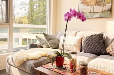 Condo for sale at 306 595 Austin Avenue Coquitlam British Columbia - MLS: R3108308