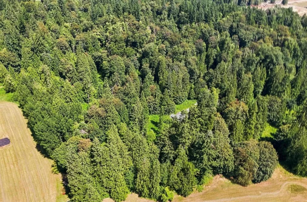 30919 SILVERDALE AVENUE, Mission, BC — Land for Sale - Photo 2