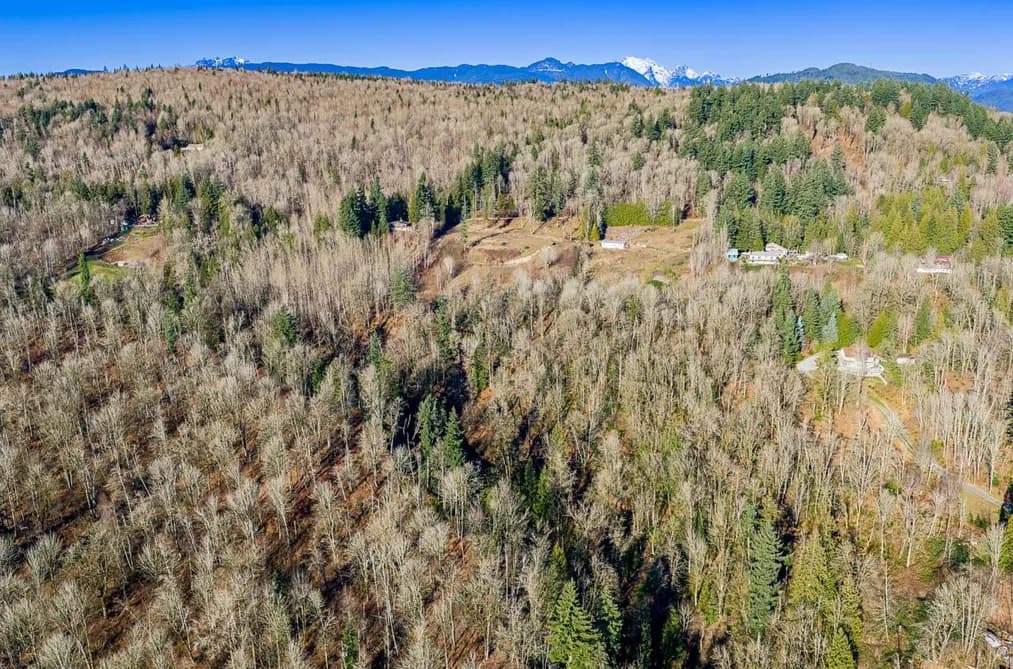 31390 OLSON AVENUE, Mission, BC — Land for Sale - Photo 2