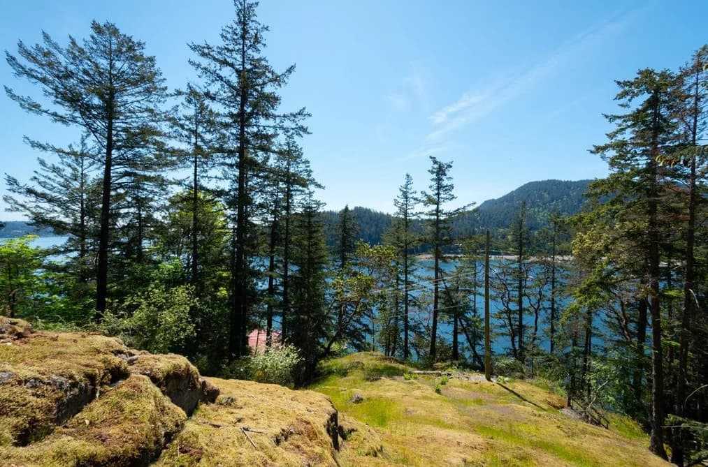 319 DAVID ROAD, Bowen Island, BC — Land for Sale - Photo 2