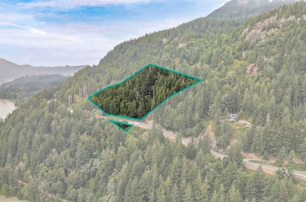 3333 LOUGHEED HIGHWAY, Agassiz, BC — Land for Sale - Photo 2