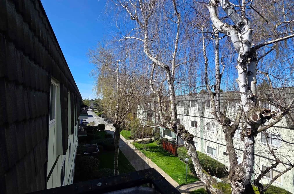 356 8131 RYAN ROAD, Richmond, BC — Residential for Sale - Main Photo