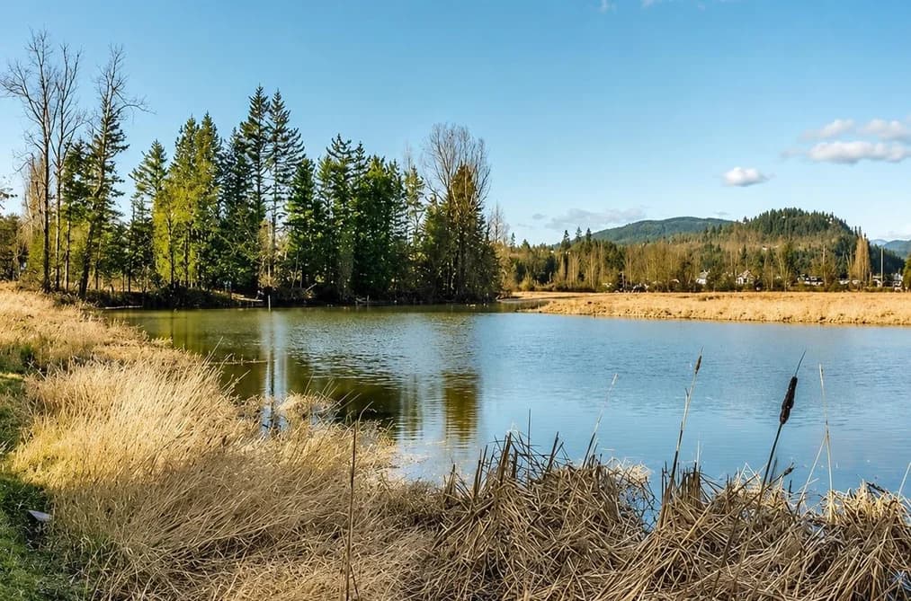 35775 LOUGHEED HIGHWAY, Mission, BC — Land for Sale - Photo 2