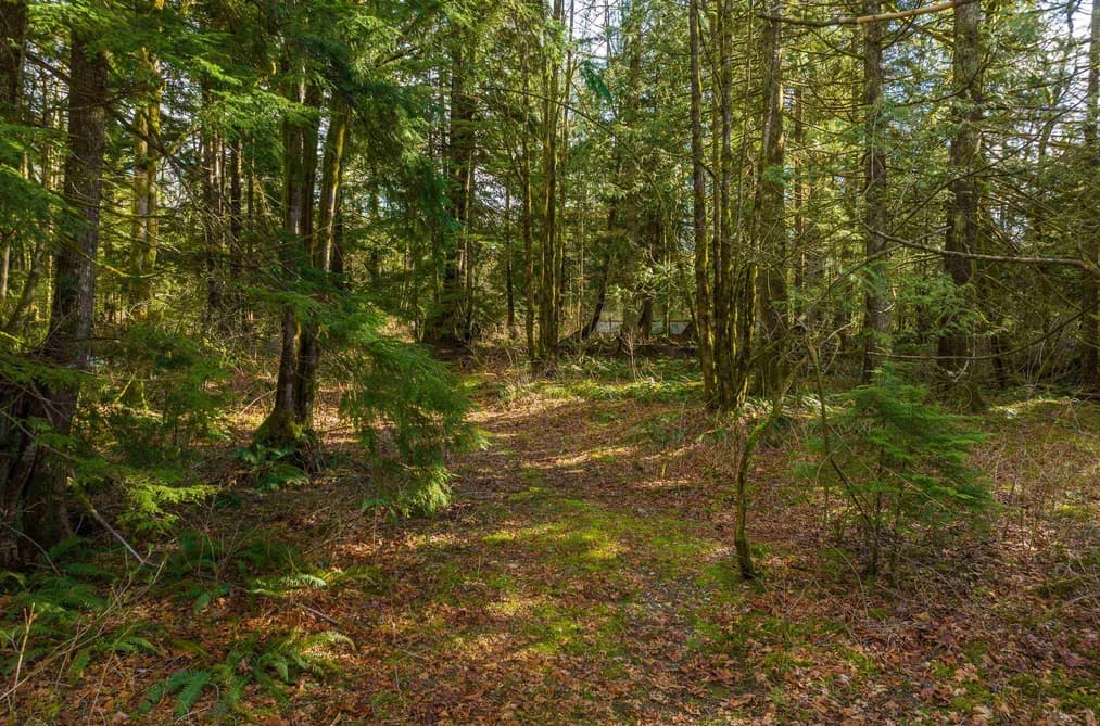 36161 RIDGEVIEW ROAD, Mission, BC — Residential for Sale - Photo 2
