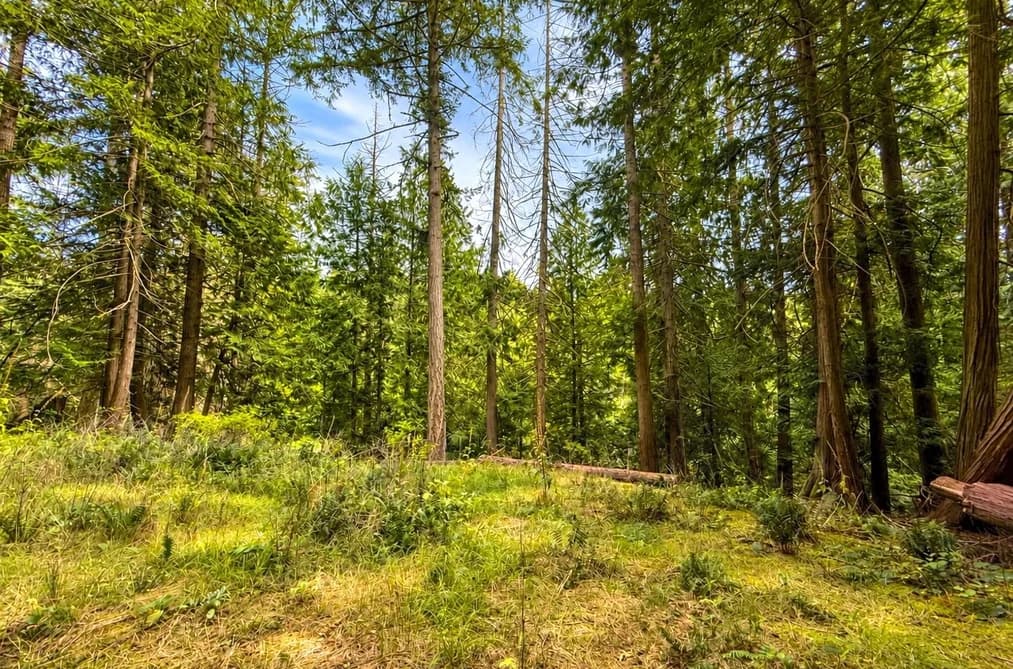 364 LINKLATER ROAD, Galiano Island, BC — Land for Sale - Main Photo