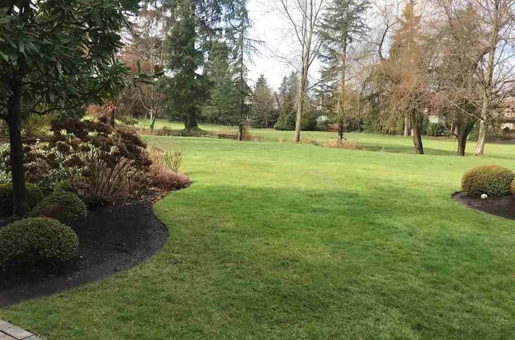 3689 159A STREET, Surrey, BC — Residential for Sale - Photo 2