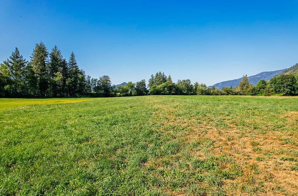 3705 HOT SPRINGS ROAD, Agassiz, BC — Land for Sale - Photo 2