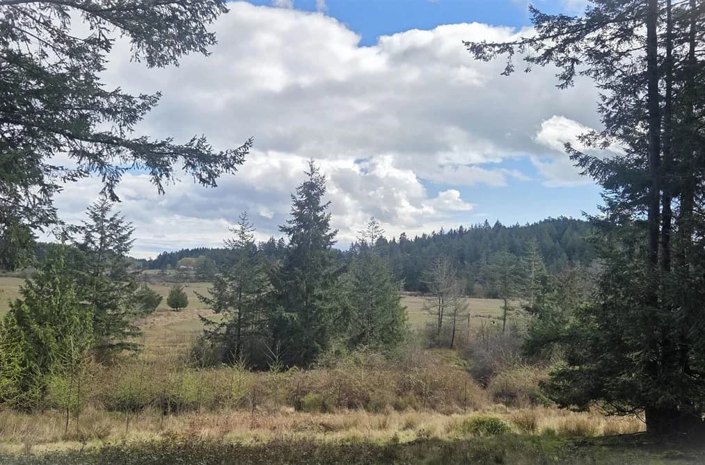 392 CAMPBELL BAY ROAD, Mayne Island, BC — Land for Sale - Main Photo