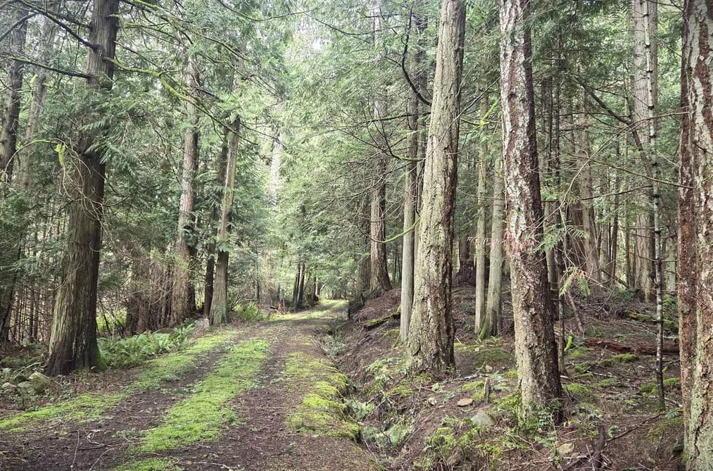 392 CAMPBELL BAY ROAD, Mayne Island, BC — Land for Sale - Photo 2