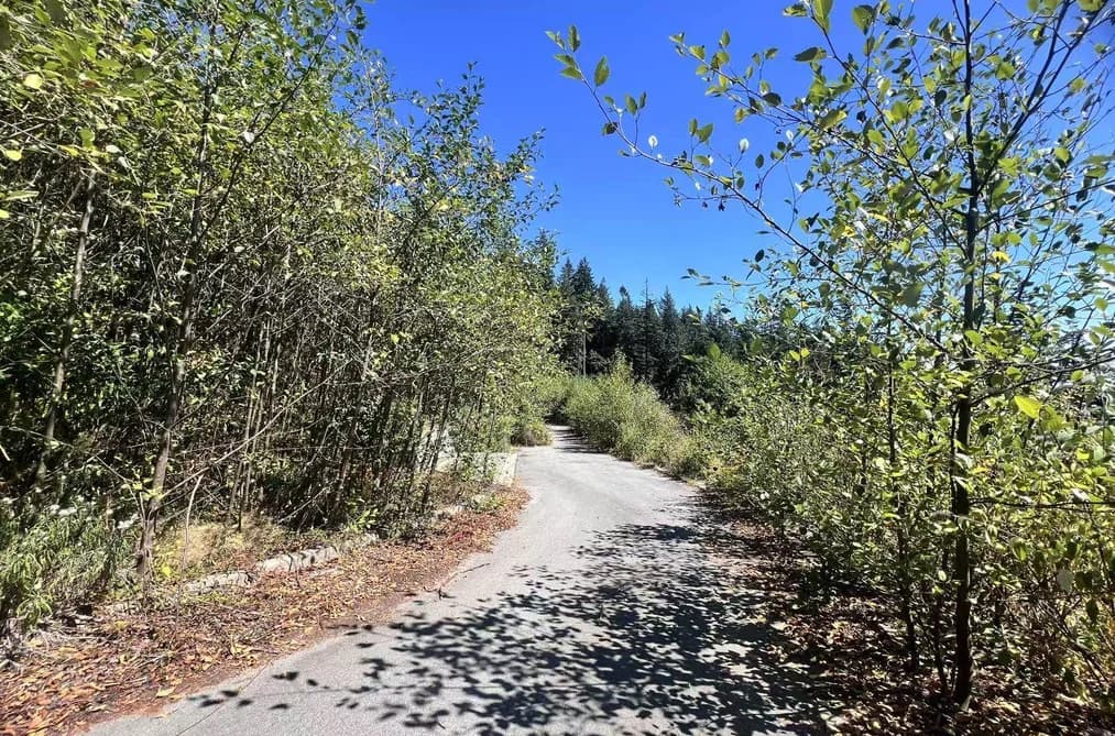 4140 CYPRESS BOWL ROAD, West Vancouver, BC — Land for Sale - Photo 2