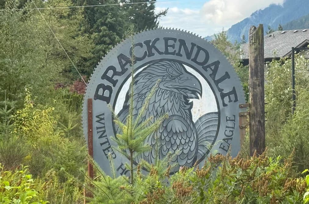 41747 GOVERNMENT ROAD, Squamish, BC — Land for Sale - Main Photo