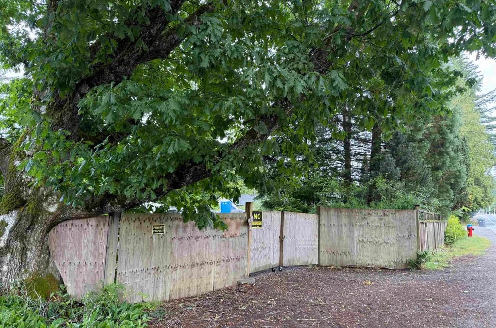 41747 GOVERNMENT ROAD, Squamish, BC — Land for Sale - Photo 2