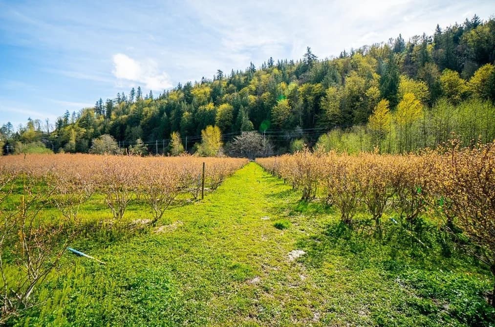 4214 WILSON ROAD, Yarrow, BC — Residential for Sale - Photo 2