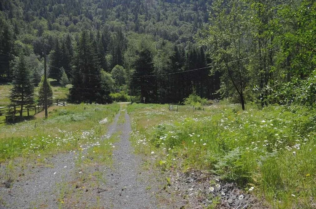 43751 FROST ROAD, Columbia Valley, BC — Land for Sale - Main Photo