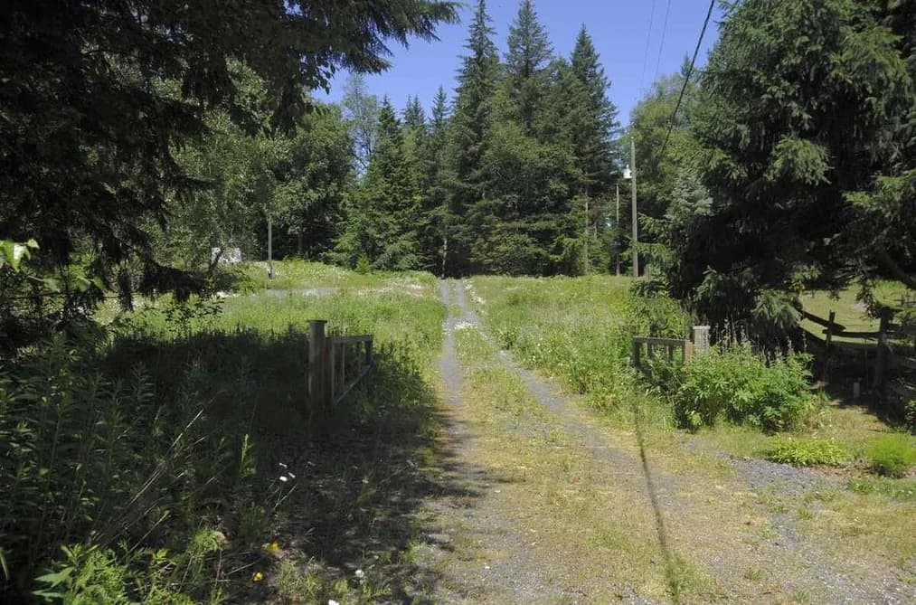 43751 FROST ROAD, Columbia Valley, BC — Land for Sale - Photo 2