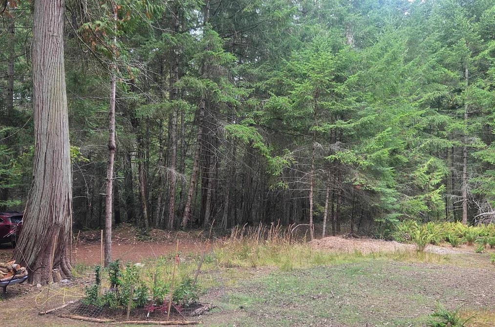448 FERNHILL ROAD, Mayne Island, BC — Land for Sale - Main Photo