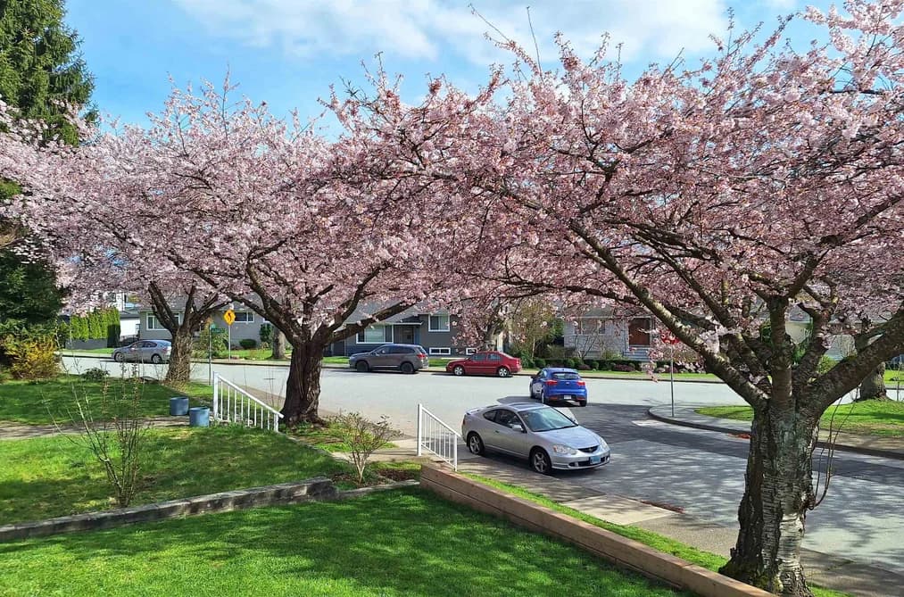 4545 WILLIAM STREET, Burnaby, BC — Residential for Sale - Photo 2