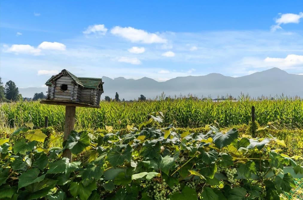 46702 ARBUTUS AVENUE, Chilliwack, BC — Residential for Sale - Main Photo