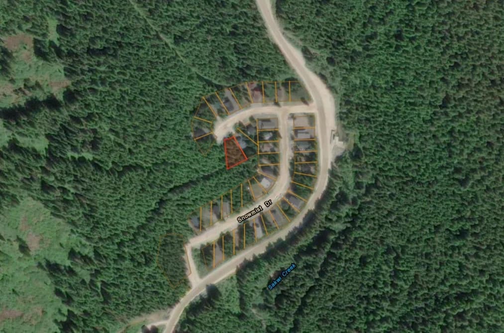 47017 SNOWMIST PLACE, Mission, BC — Land for Sale - Photo 2