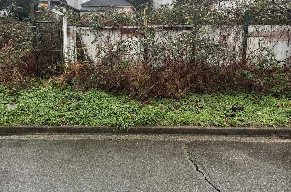 4811 MAITLAND STREET, Burnaby, BC — Residential for Sale - Photo 2