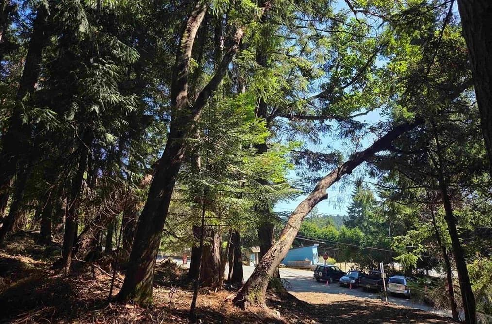 488 LETOUR ROAD, Mayne Island, BC — Land for Sale - Main Photo