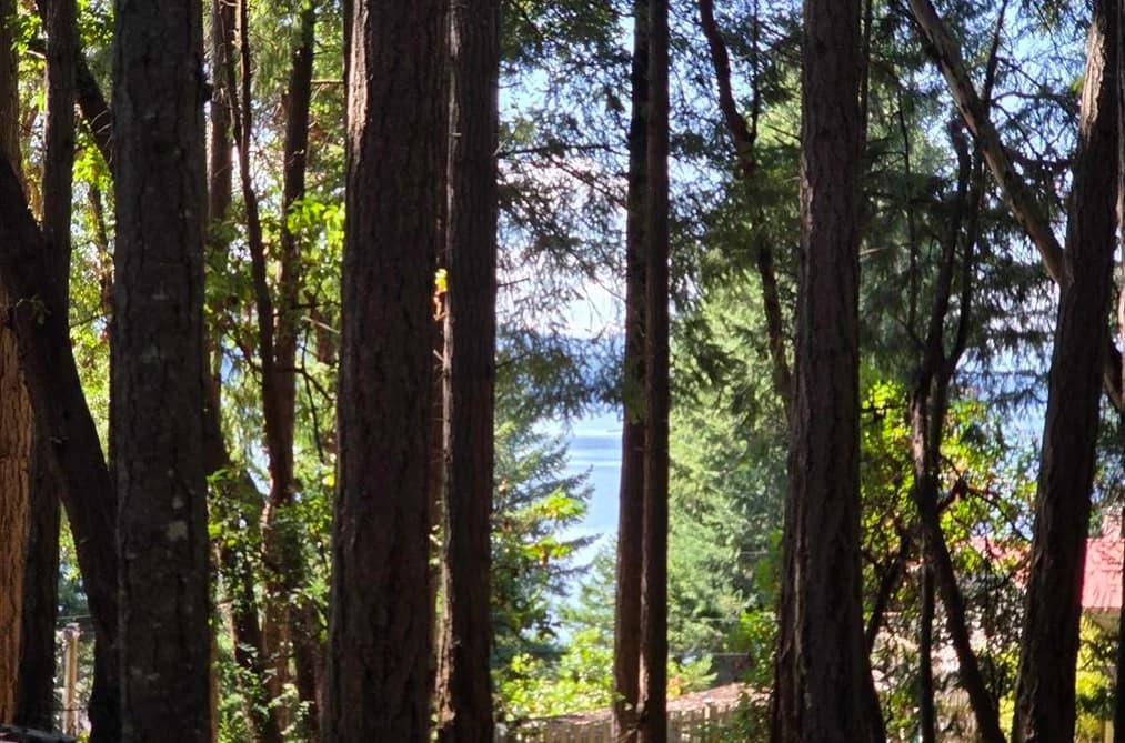 488 LETOUR ROAD, Mayne Island, BC — Land for Sale - Photo 2