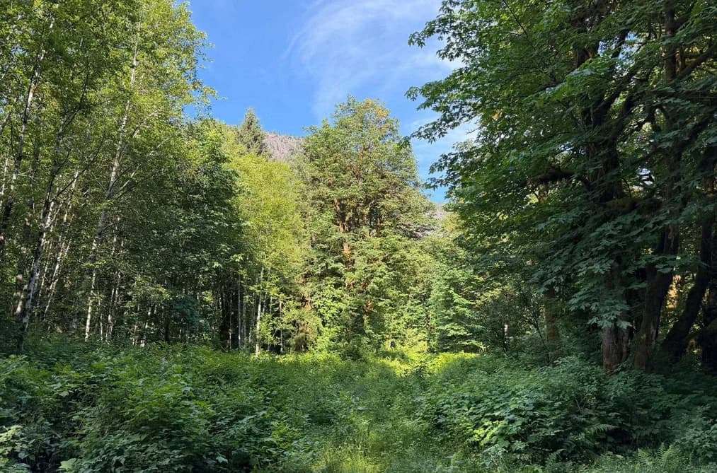 5 UPPER PITT RIVER ROAD, Pitt Meadows, BC — Land for Sale - Photo 2