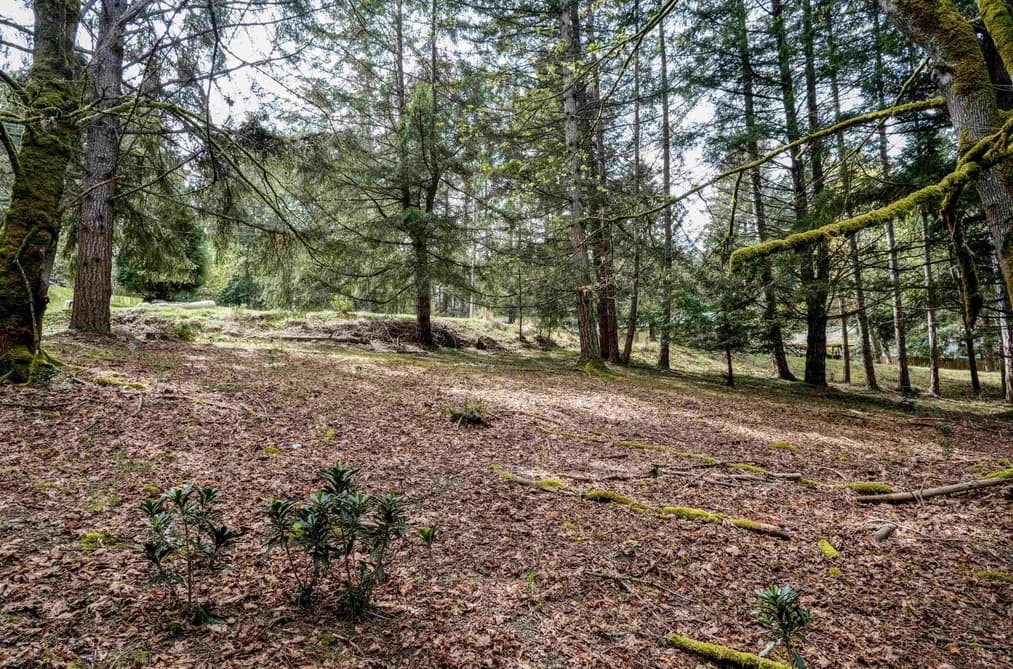 548 DALTON DRIVE, Mayne Island, BC — Land for Sale - Photo 2