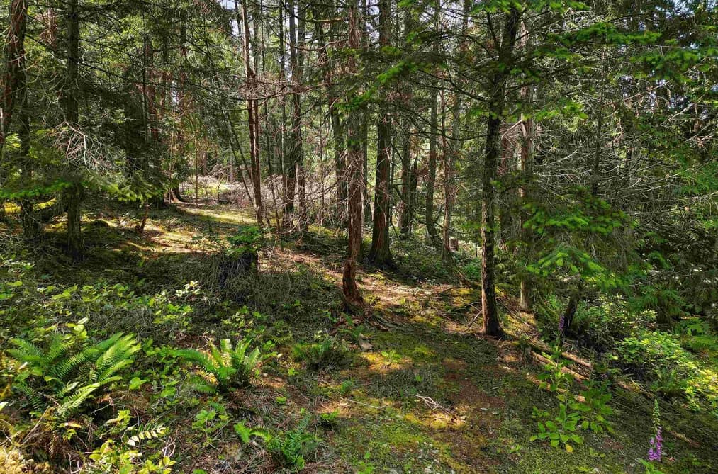 568 AYA REACH ROAD, Mayne Island, BC — Land for Sale - Main Photo