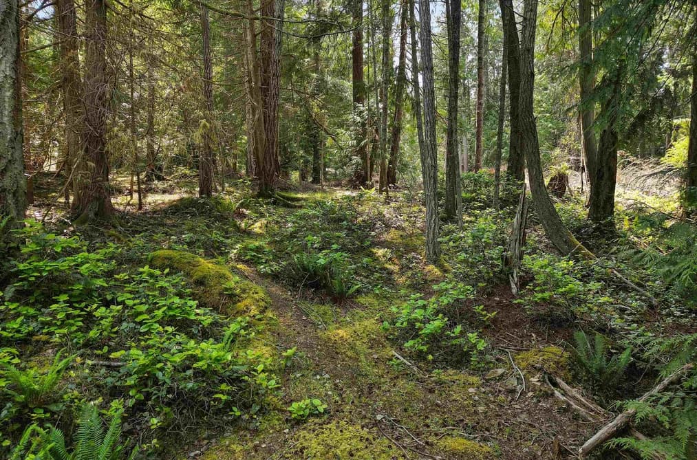 568 AYA REACH ROAD, Mayne Island, BC — Land for Sale - Photo 2