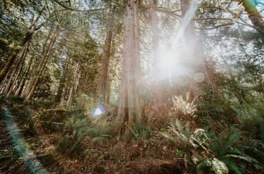 Recreational for sale at 5735 Naylor Road Sechelt British Columbia - MLS: R3106763