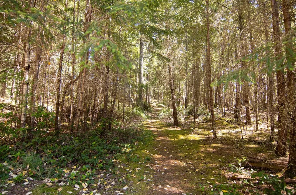580 340 MANASTEE ROAD, Galiano Island, BC — Residential for Sale - Photo 2