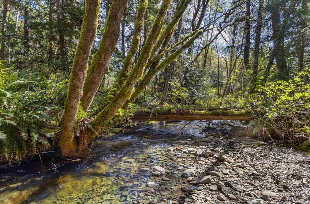 6101 GARDEN BAY ROAD, Madeira Park, BC — Residential for Sale - Photo 2