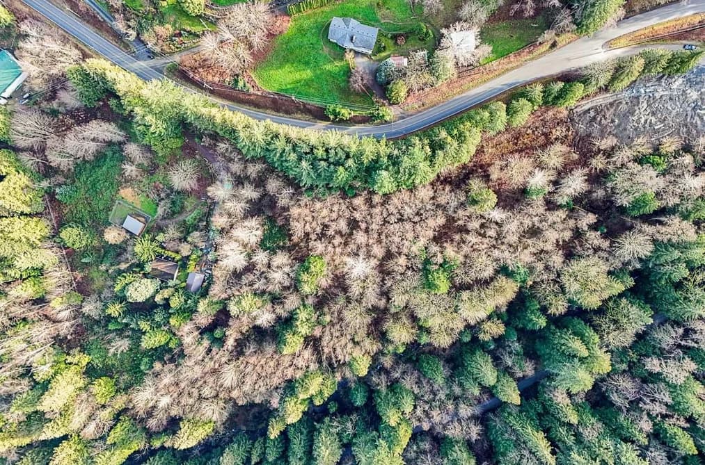 6183 RYDER LAKE ROAD, Ryder Lake, BC — Land for Sale - Photo 2