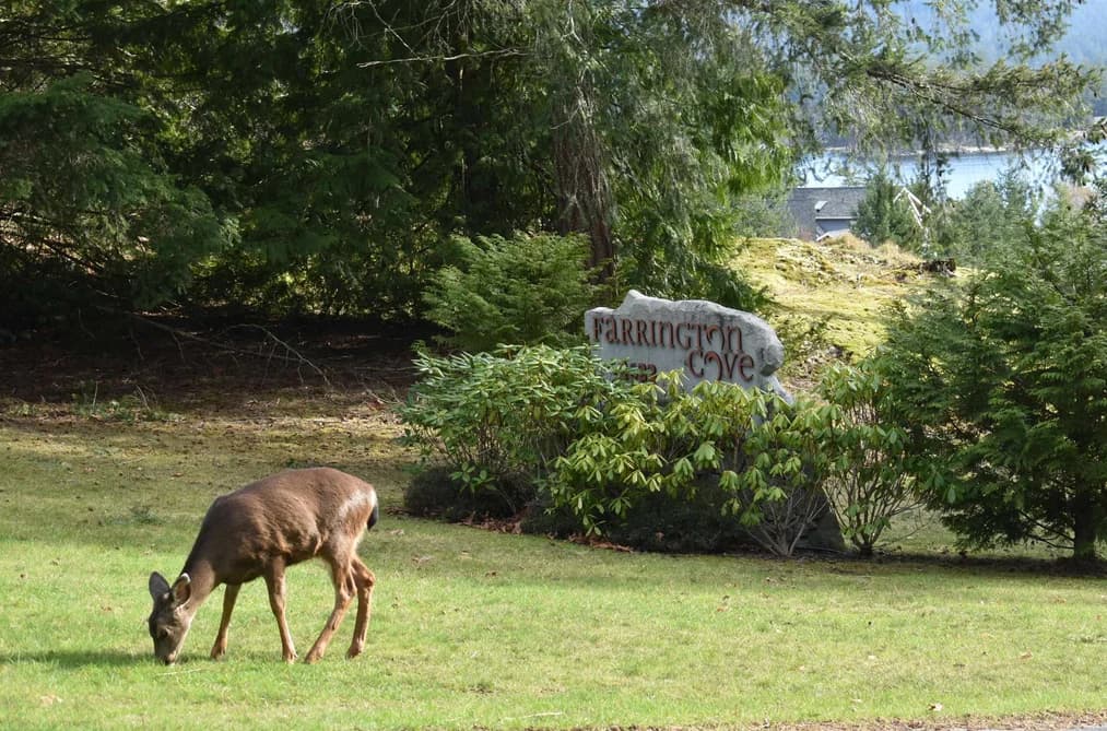 7 4622 SINCLAIR BAY ROAD, Pender Harbour, BC — Land for Sale - Main Photo