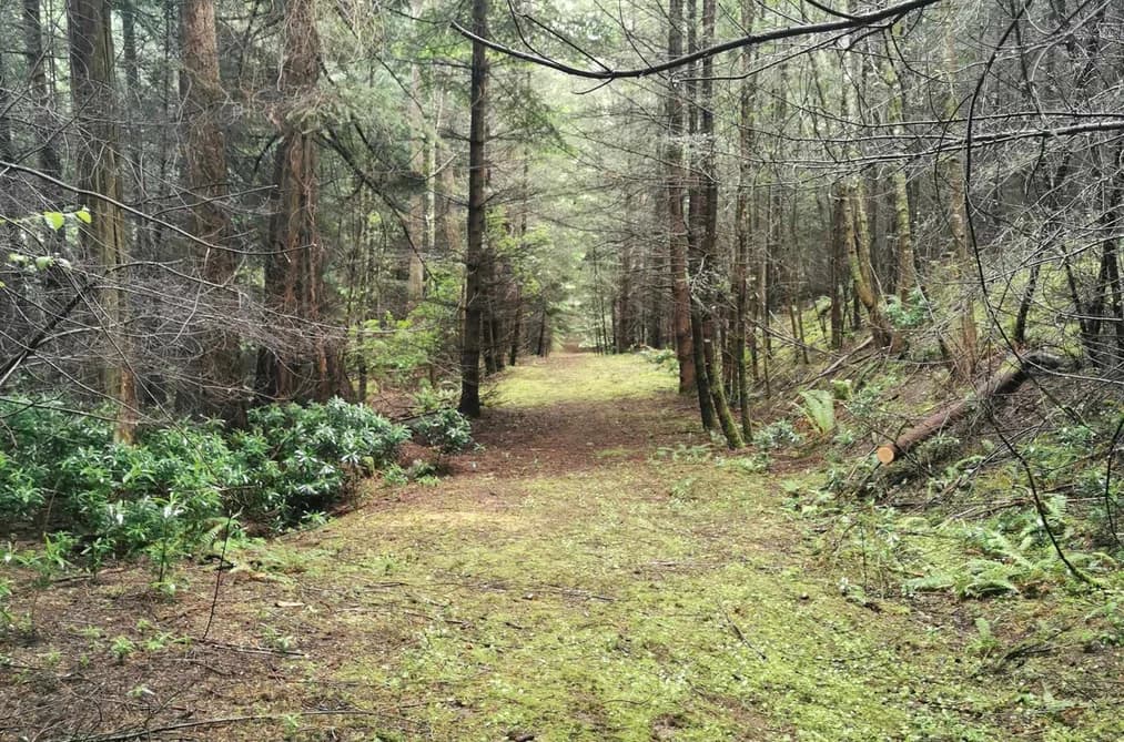 706 FERNHILL ROAD, Mayne Island, BC — Land for Sale - Main Photo