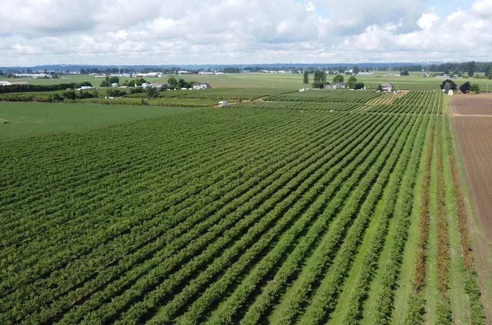 7121 BEHARRELL ROAD, Abbotsford, BC — Land for Sale - Main Photo