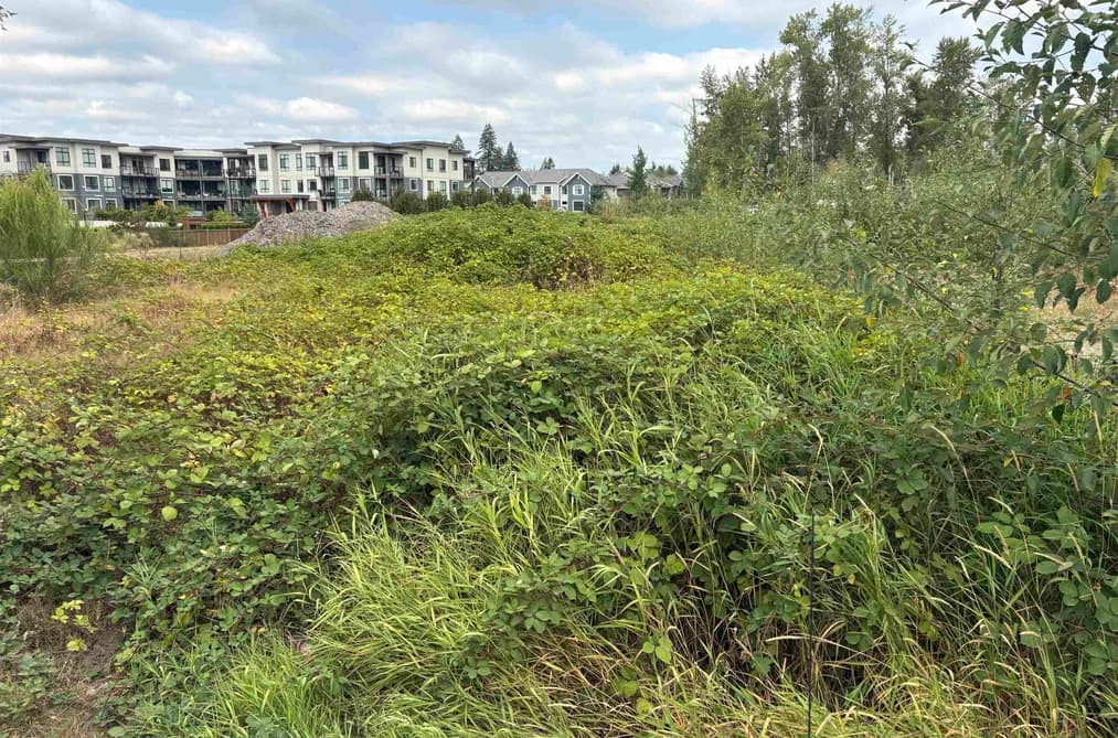 7235 204 STREET, Langley, BC — Land for Sale - Main Photo