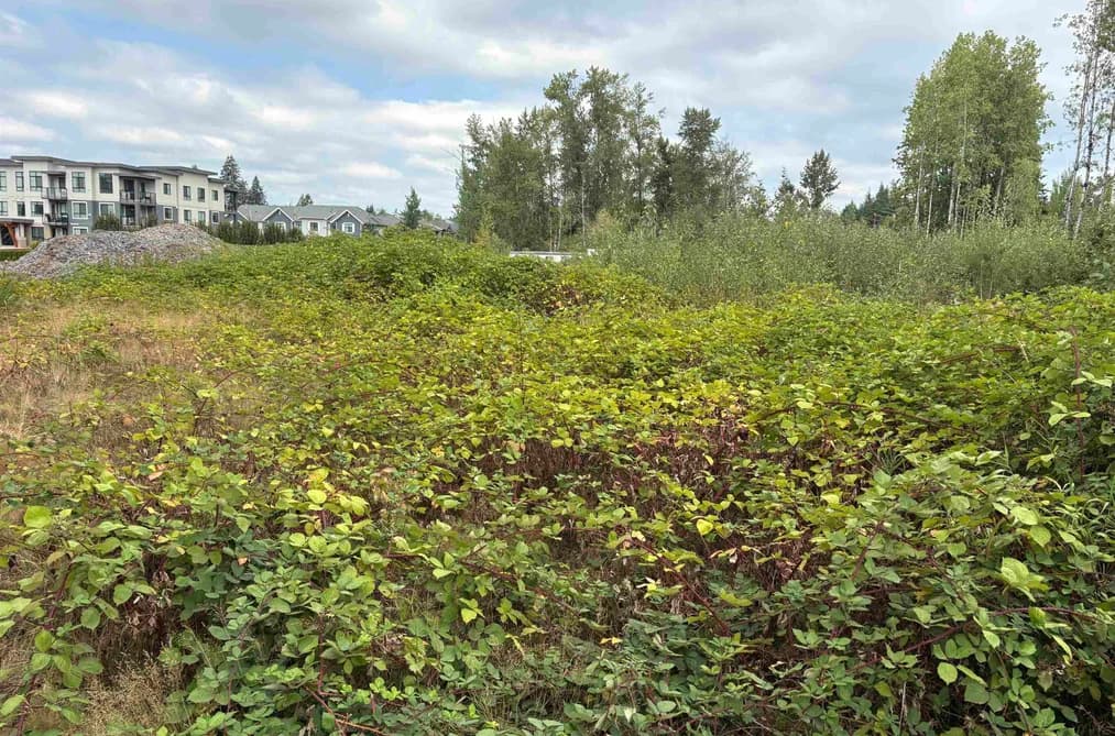 7235 204 STREET, Langley, BC — Land for Sale - Photo 2