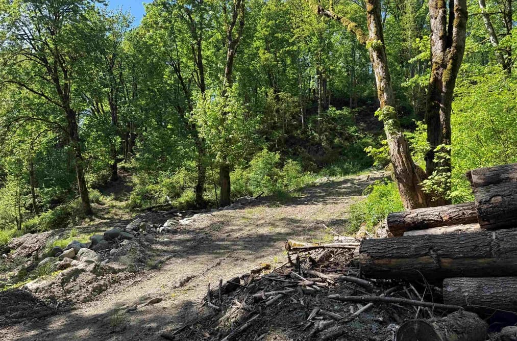 7252 272 STREET, Langley, BC — Land for Sale - Main Photo