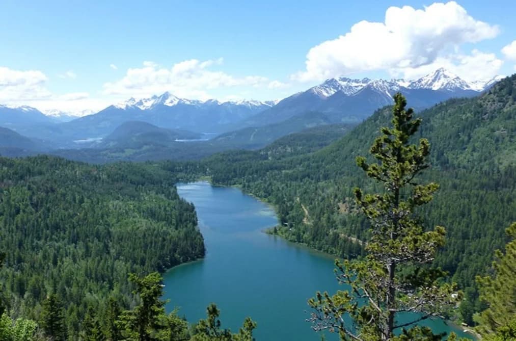 7326 TYAUGHTON LAKE ROAD, No City Value, BC — Land for Sale - Photo 2