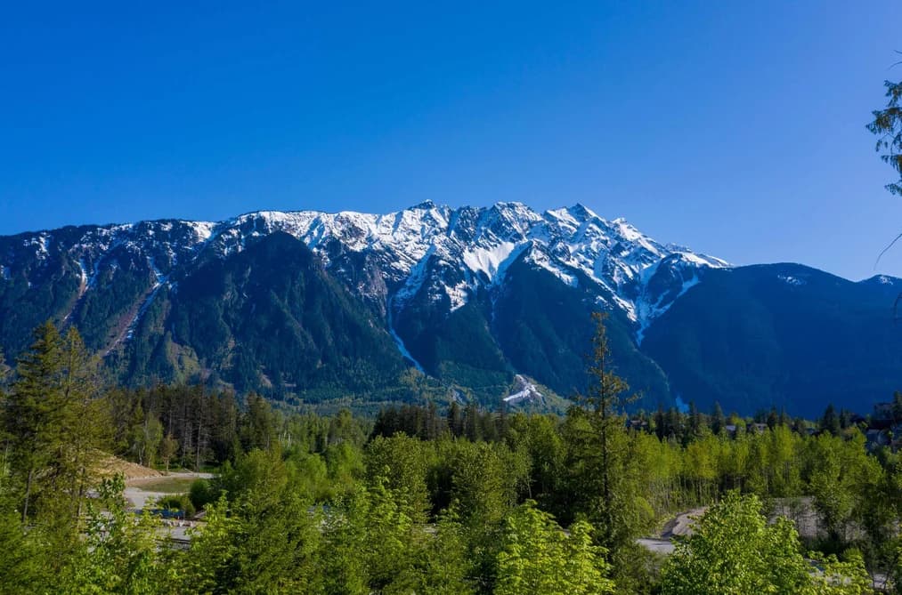 7620 SEVEN O'CLOCK DRIVE, Pemberton, BC — Land for Sale - Main Photo