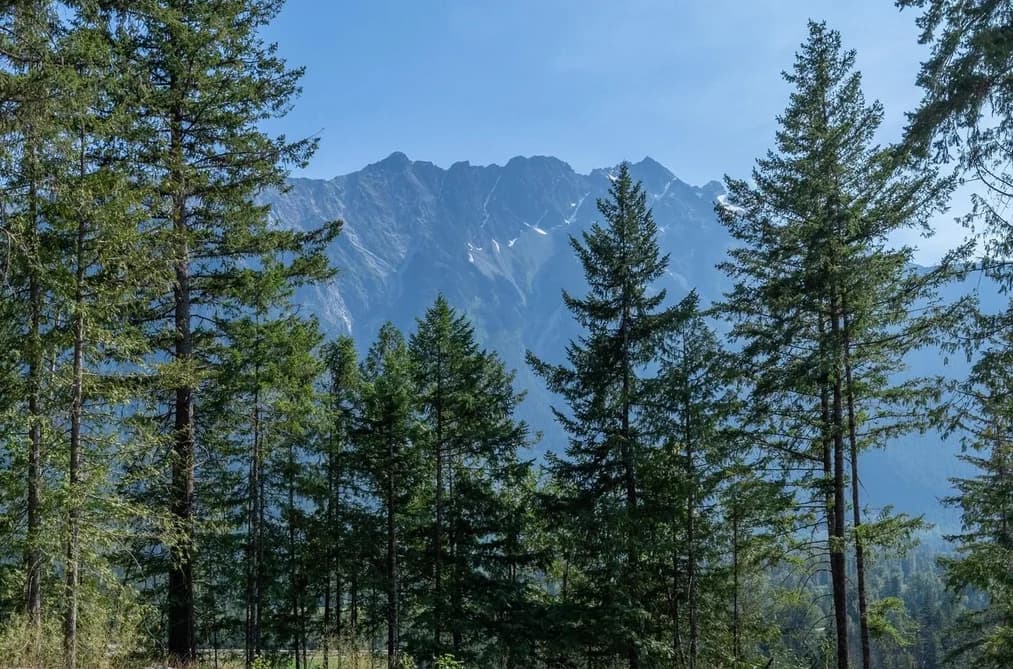 8206 MERLOT PEAK DRIVE, Pemberton, BC — Land for Sale - Main Photo