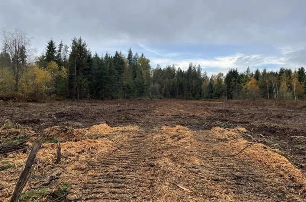 8295 264 STREET, Langley, BC — Land for Sale - Photo 2