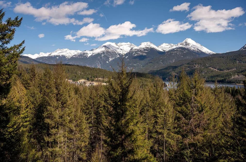 8365 MOUNTAIN VIEW DRIVE, Whistler, BC — Land for Sale - Photo 2