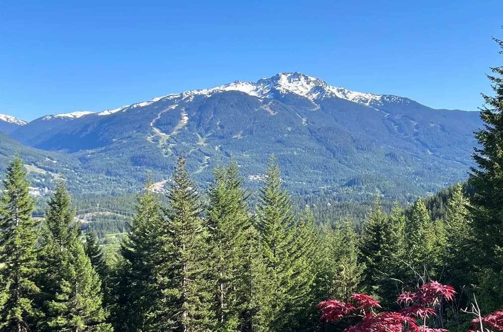 8384 MOUNTAIN VIEW DRIVE, Whistler, BC — Land for Sale - Main Photo