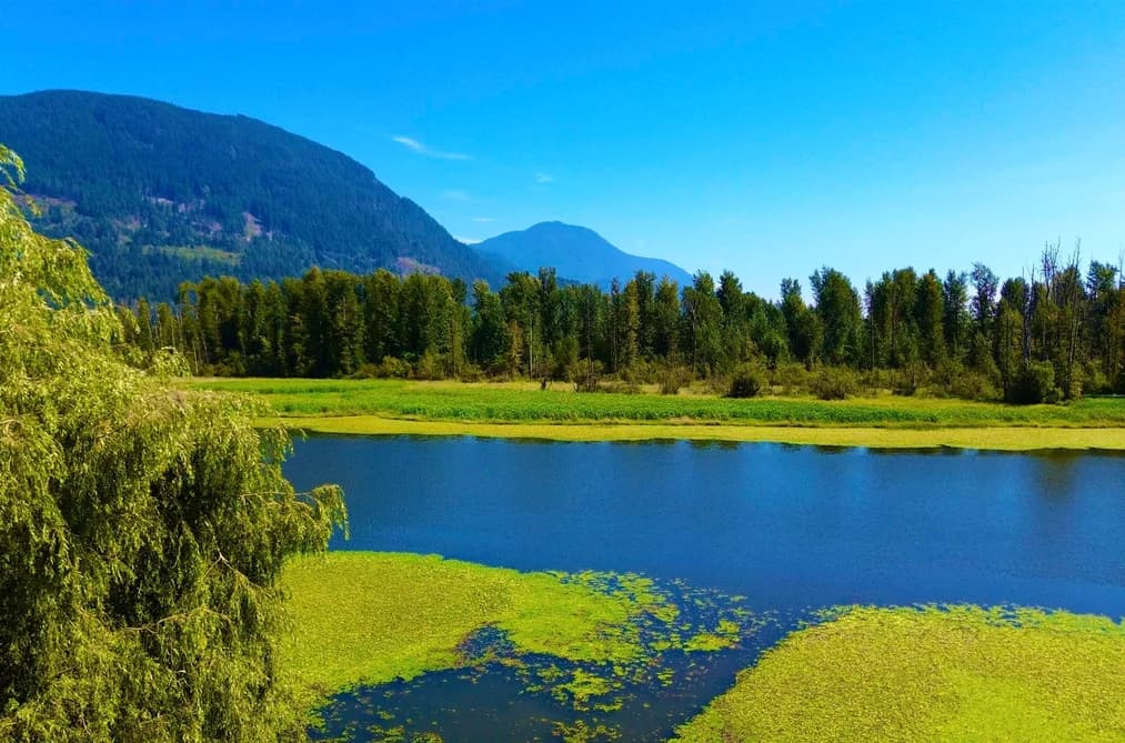 8586 SHOOK ROAD, Mission, BC — Residential for Sale - Main Photo