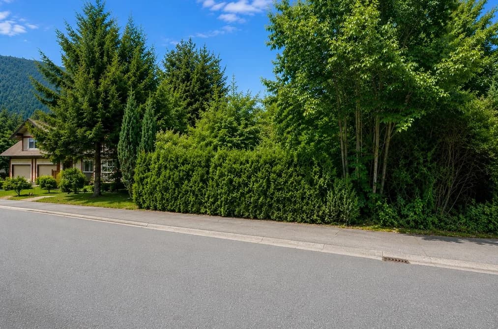 861 MYNG CRESCENT, Harrison Hot Springs, BC — Land for Sale - Main Photo