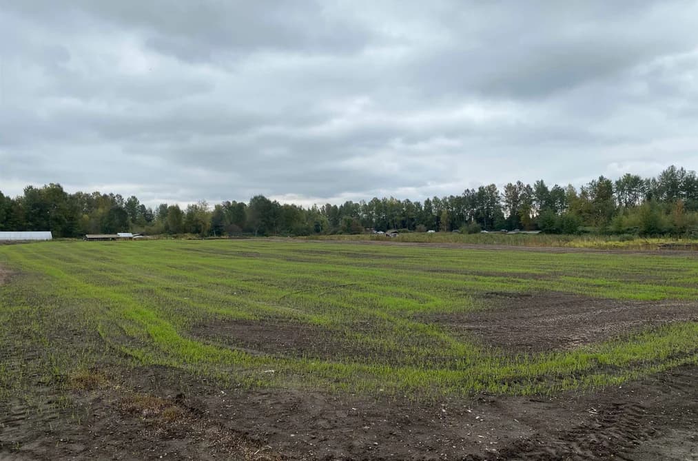 8646 MANDEVILLE AVENUE, Burnaby, BC — Land for Sale - Main Photo